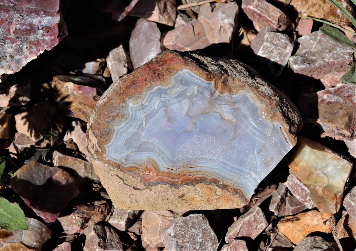 Agate - Trésors de Cailloux
