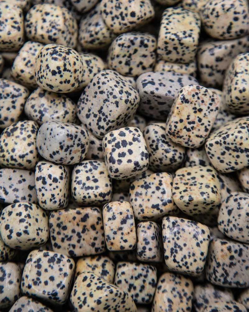 Jaspe Dalmatien - Trésors de Cailloux