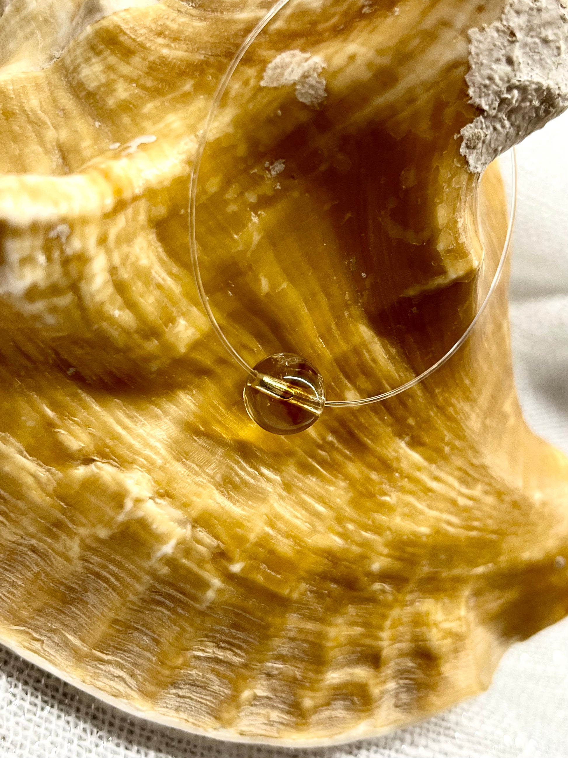 Collier EMY, avec pierre de Citrine, exposé sur un coquillage.