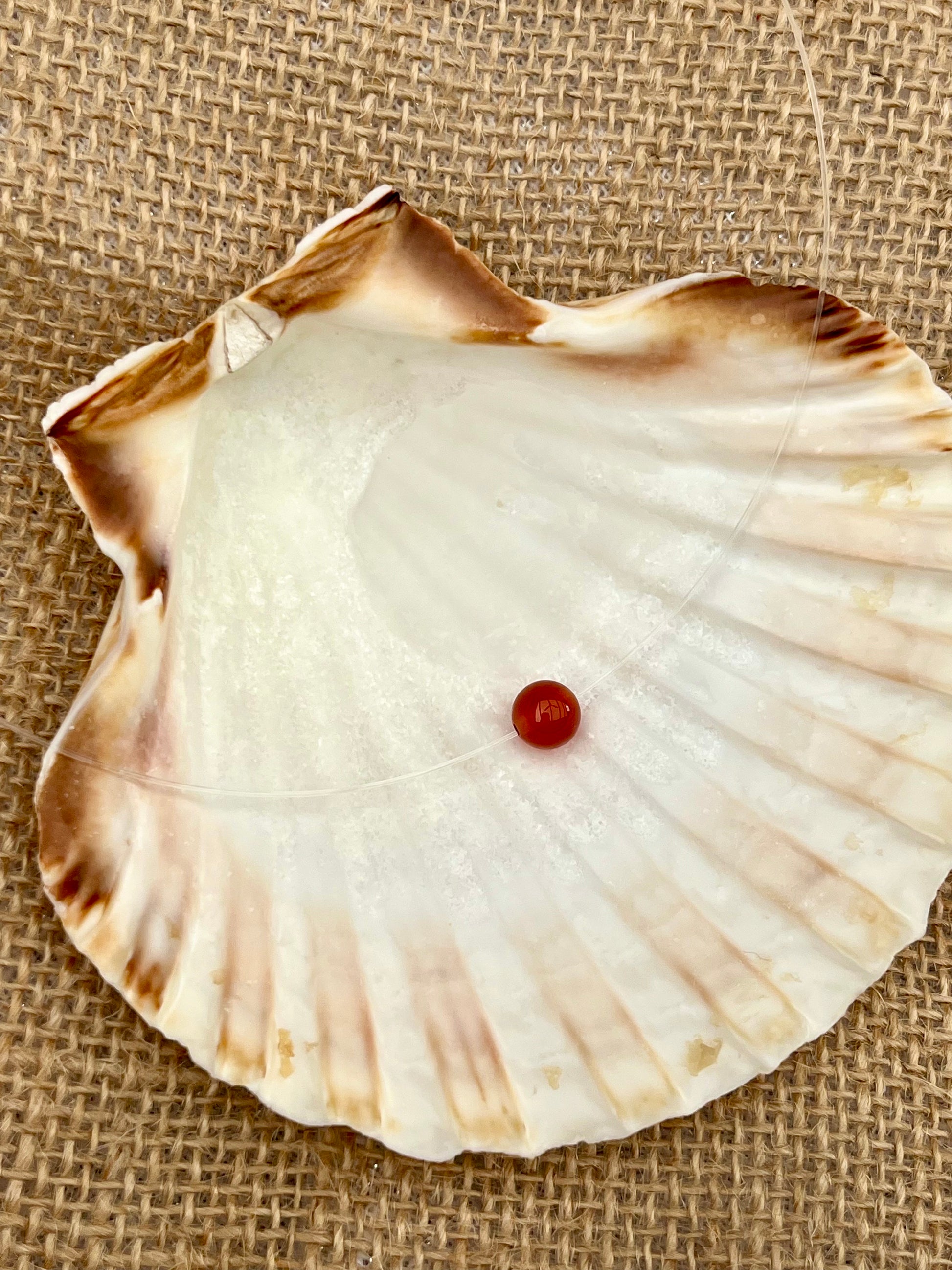 Collier EMY, avec pierre de Cornaline, exposé dans un coquillage.
