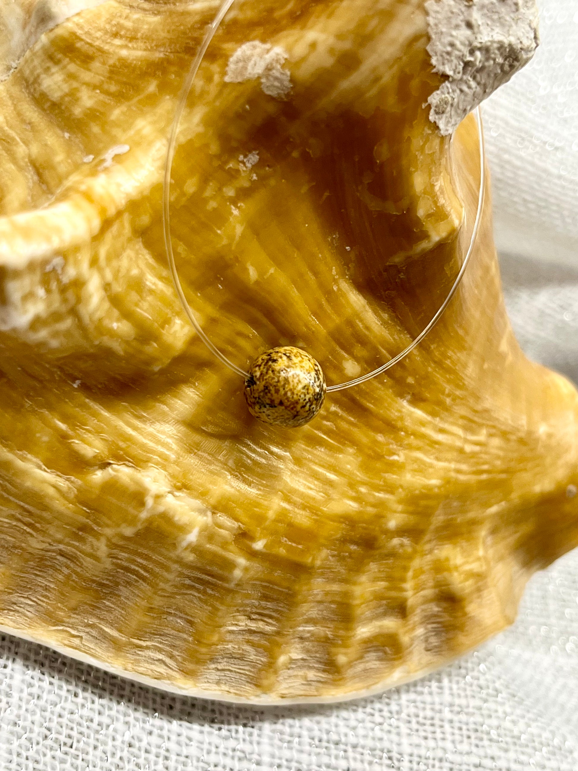 Collier EMY en Jaspe Paysage, exposé sur un coquillage.
