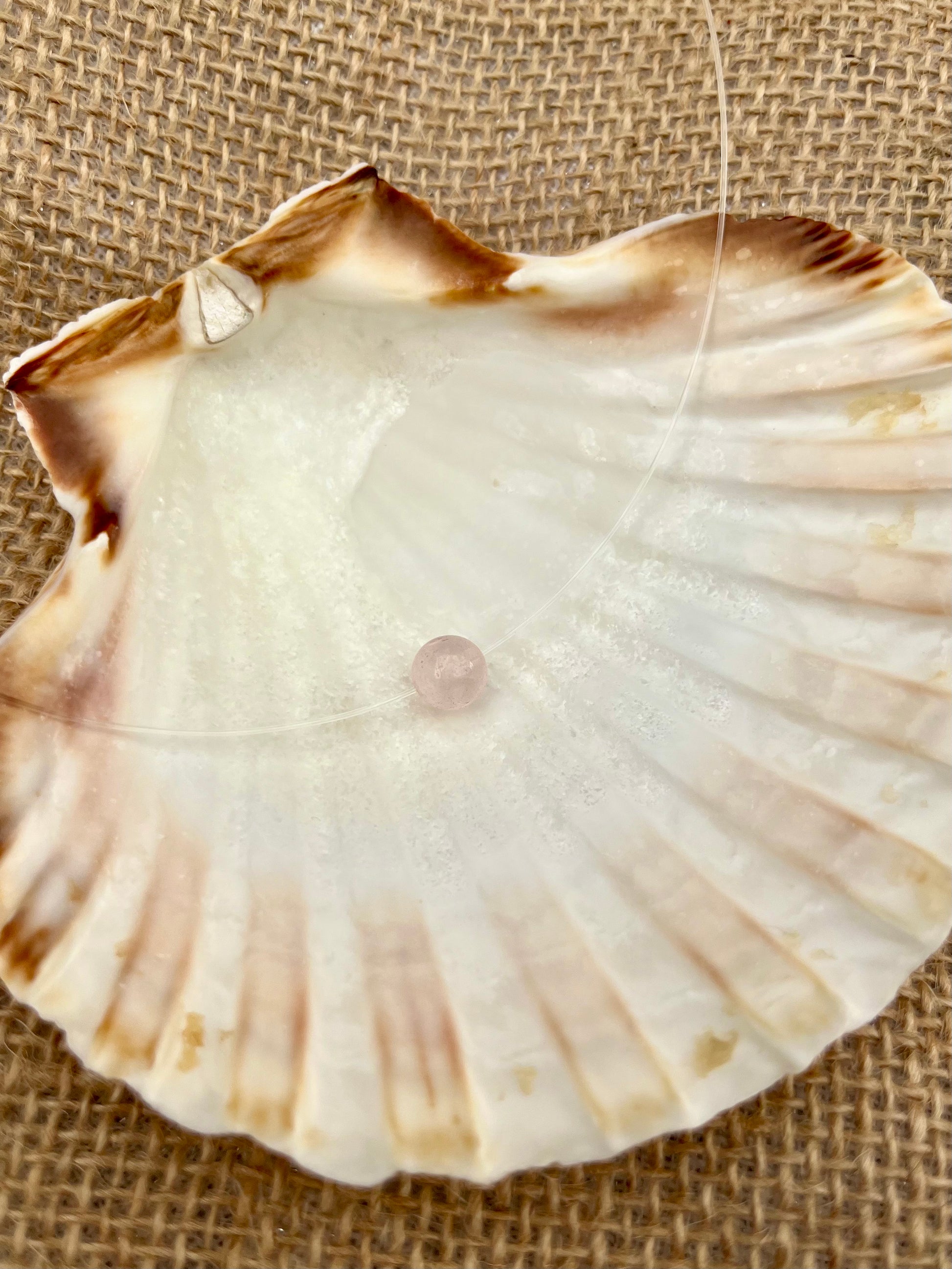 Collier EMY, avec pierre de Quartz Rose, exposé dans un coquillage.